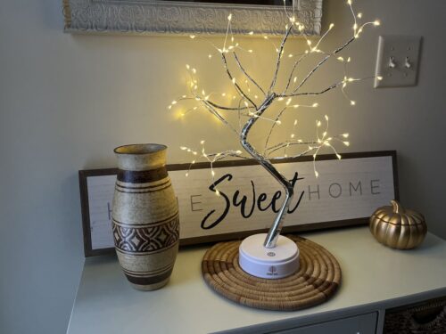 Fairy Light Spirit Tree LED photo review