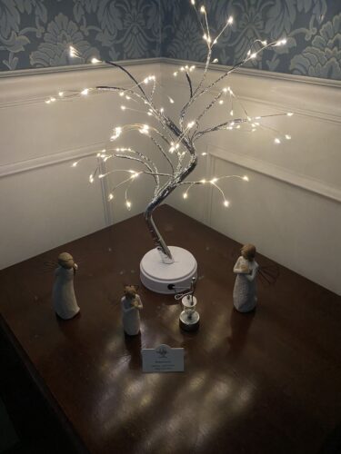 Fairy Light Spirit Tree LED photo review