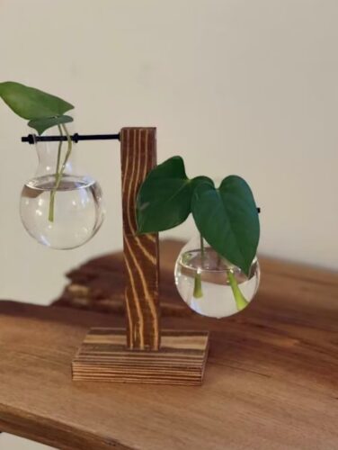 Glass Propagation Vase with Vertical Wooden Stand photo review